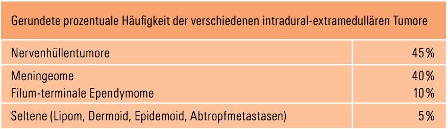 prozedurale Hüufigkeit der verschiedenen intradural-extramedullären Tumore