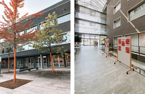 Impressionen zur Aktionswoche Patientensicherheit