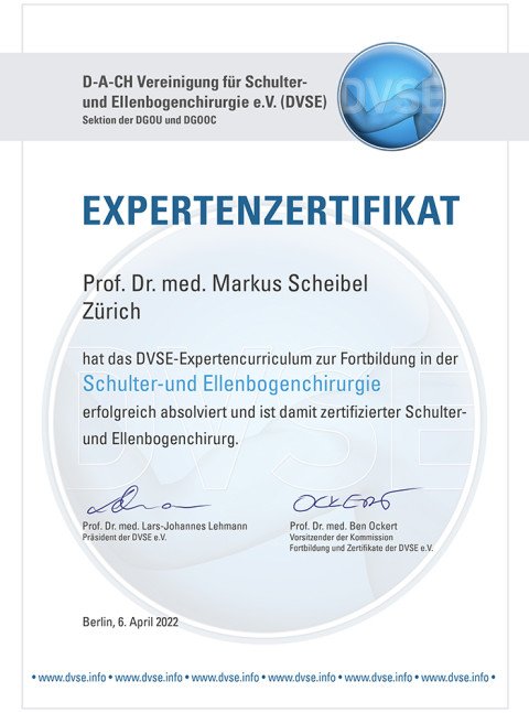 Expertenzertifikat DVSE für Markus Scheibel
