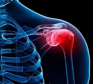 HSS-Charité-Schulthess Shoulder Conference 2024 TEASER