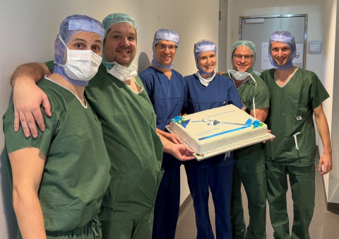 Implantation Persona Revisionssystems