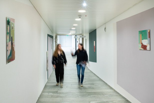 Catherine Burkhard: Bild-Farb-Rauminstallation, 2024 