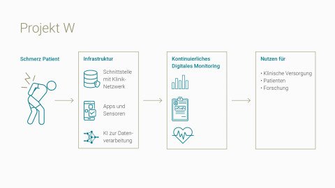Schematische Darstellung des Projekt W Projekts