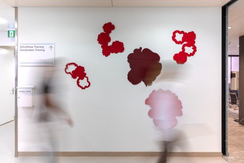 Stephan Spicher Schulthess Klinik