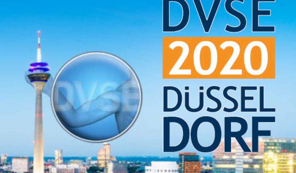 Programm Flyer Jahreskongress DVSE Düsseldorf