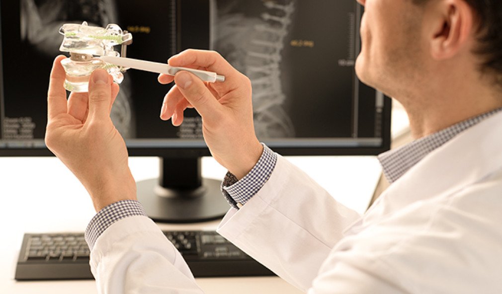 Wirbelsäulenchirurg erklärt Wirbelsäulenmodell