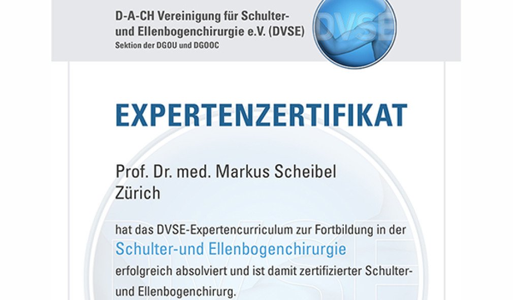 Ausschnitt Expertenzertifikat DVSE für Prof. Markus Scheibel