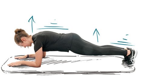 Plank_1