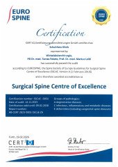 Surgical Spine of Excellence